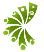 CMI-Icon1
